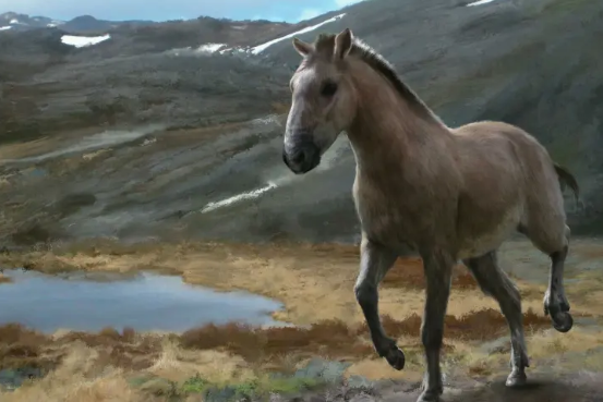 長鼻三趾馬