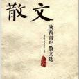 陝西青年散文選：2011年度