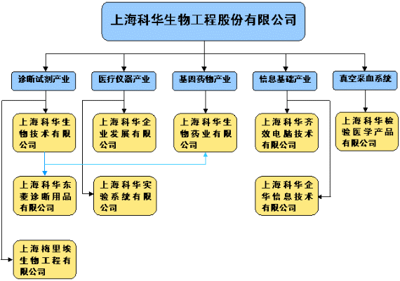 公司結構圖