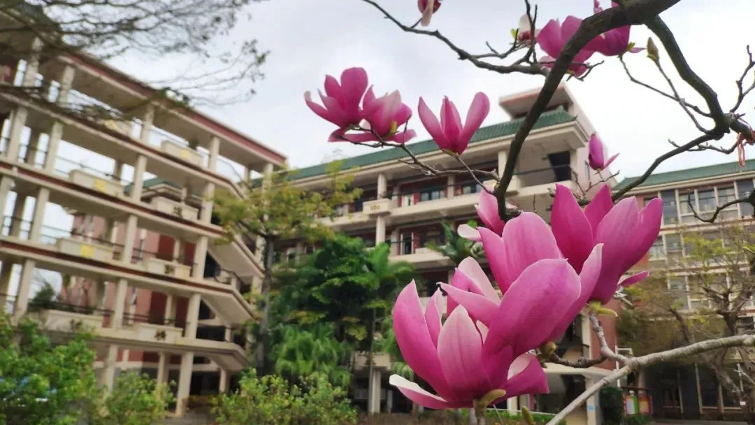 廣州知識城中學(廣州市第八十三中學)