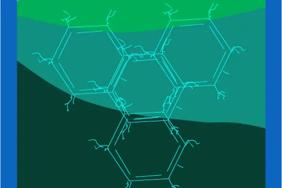 寄生種子(《賽爾號》的異常狀態)