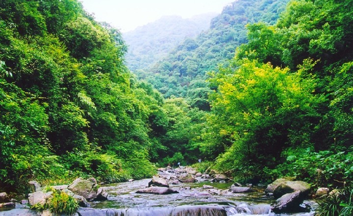 朱家山原始森林