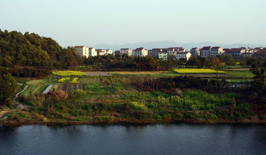 大圩村(江蘇啟東市近海鎮下轄村)