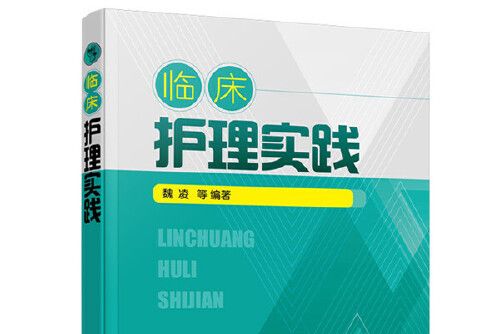 臨床護理實踐(2021年化學工業出版社出版的圖書)