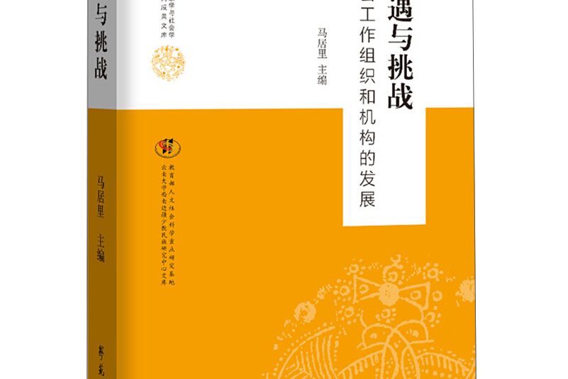 機遇與挑戰：社會工作組織和機構的發展