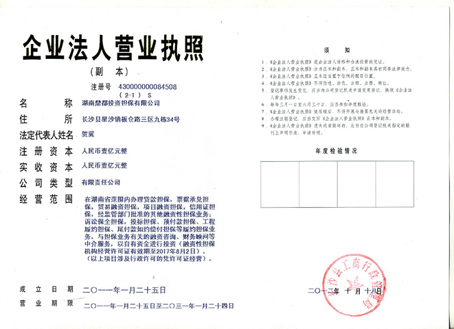 湖南擔保有限責任公司