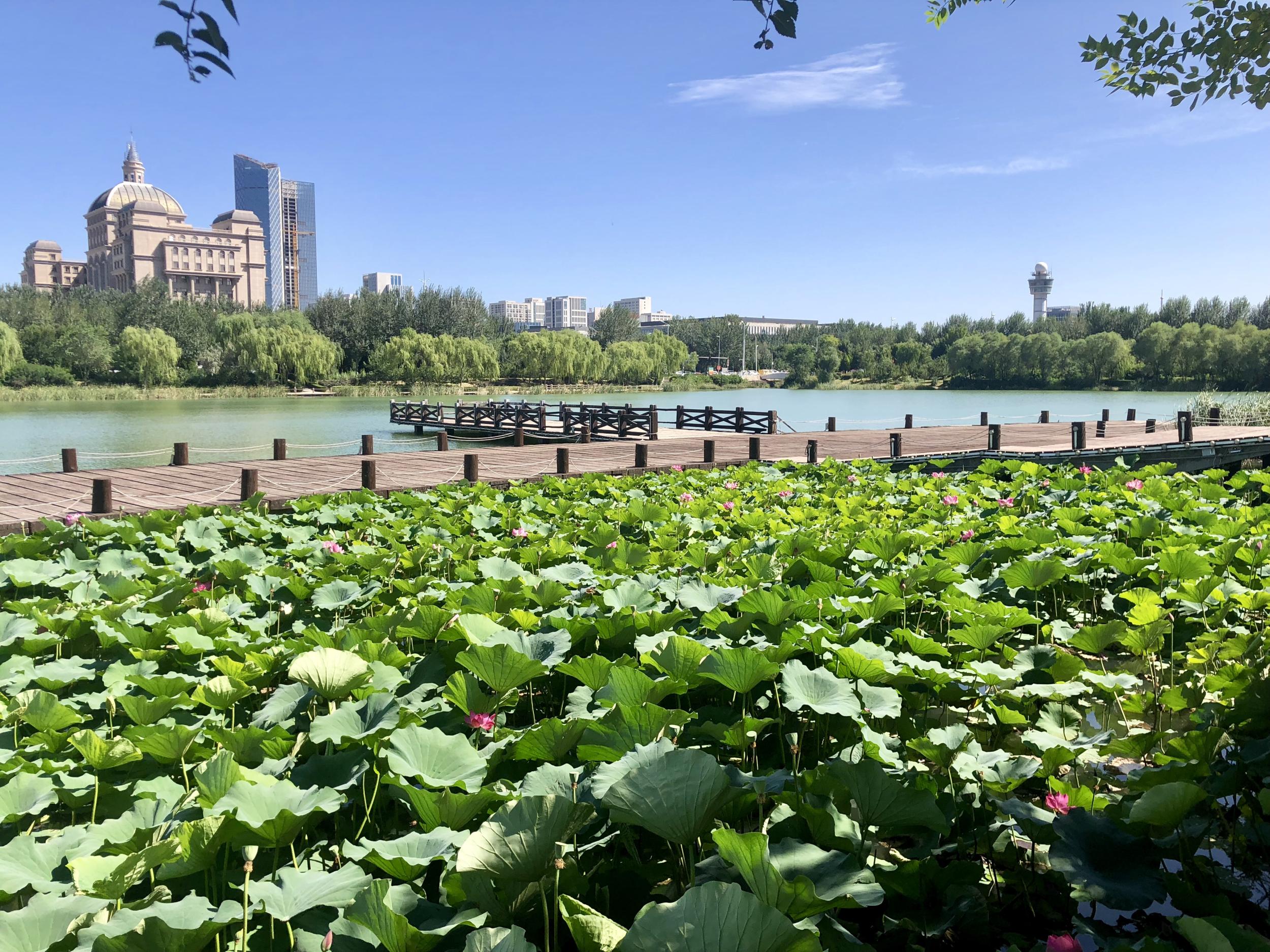 典農河(艾依河（寧夏人工引黃灌溉水道）)