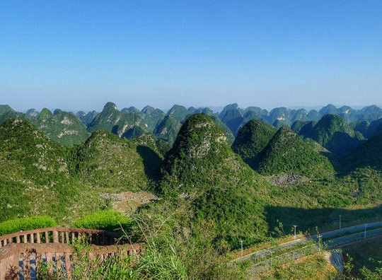 東峰林景區