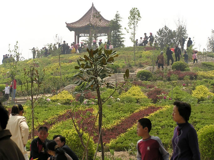 曹州牡丹園