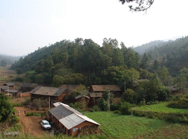 丫口子村(雲南宣威市務德鎮下轄村)