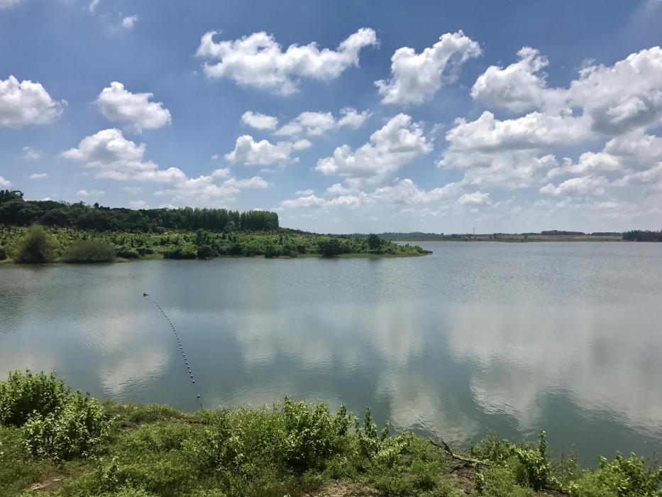 海南海口鐵爐溪省級濕地公園