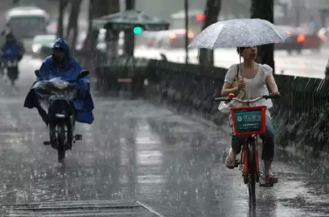 中到大雨