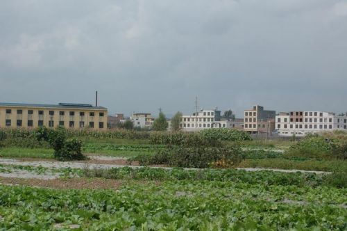 長河村(雲南曲靖市麒麟區白石江街道下轄村)