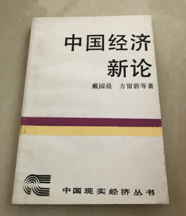 中國經濟新論