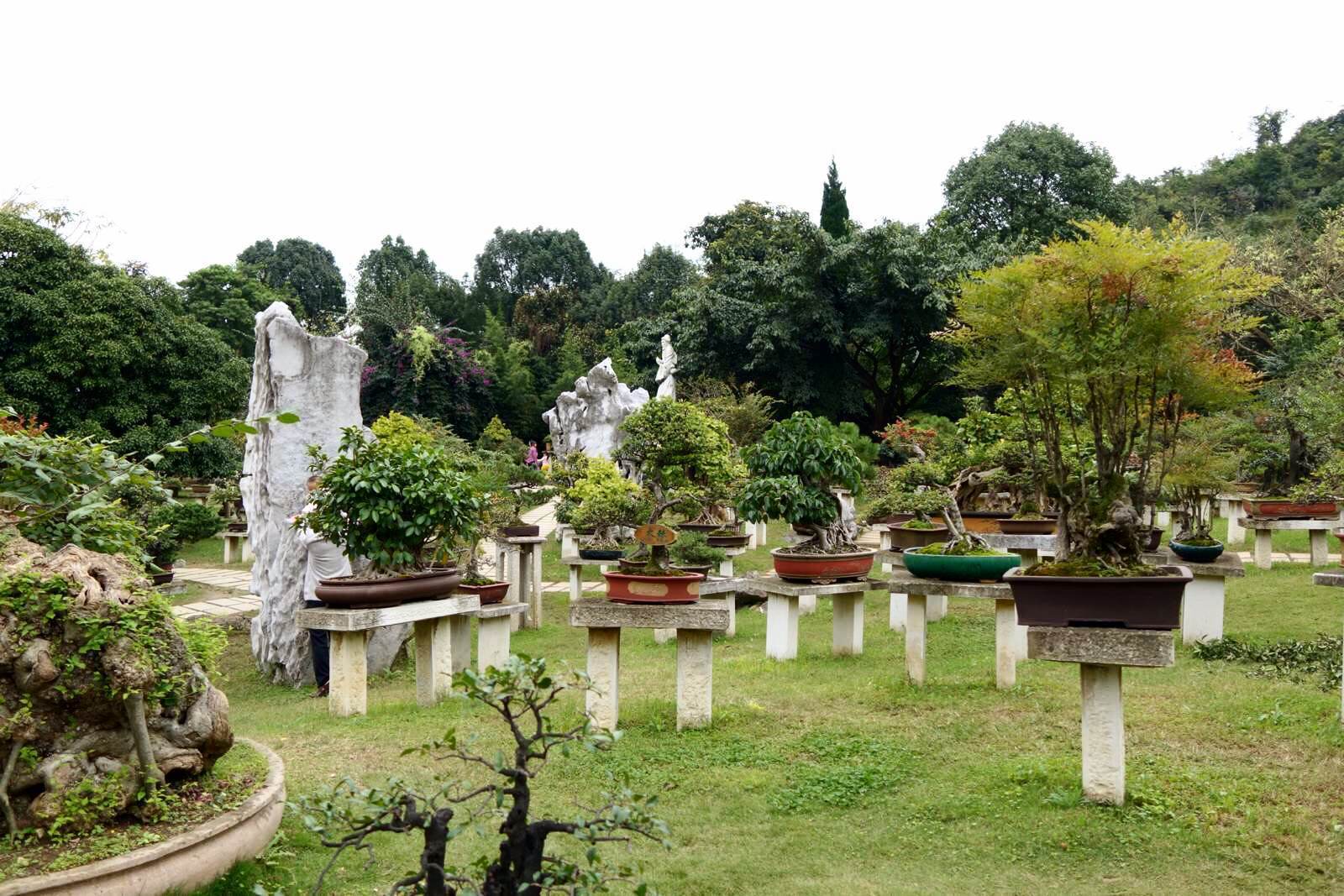 盆景園(荊州盆景園)