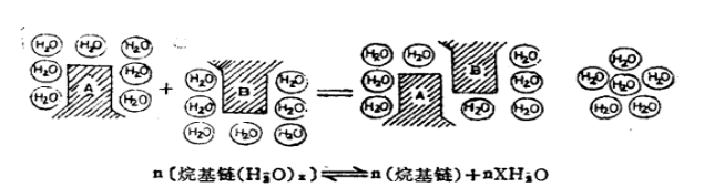 疏水性相互作用示意圖