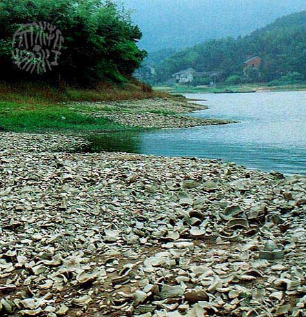 上林湖越窯青瓷遺址(上林湖越窯遺址一般指本詞條)