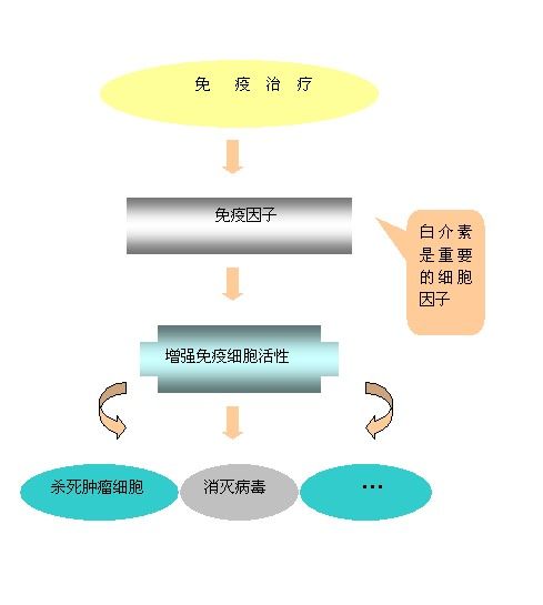 白介素-10