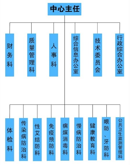 中心組織結構