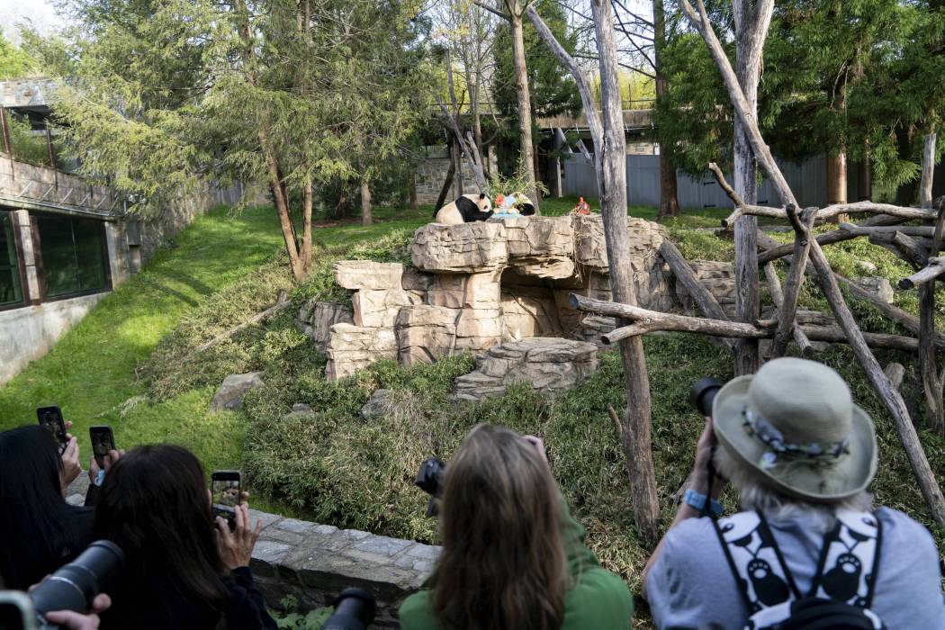 史密森學會國家動物園