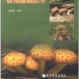 食用菌栽培學(2006年5月高等教育出版社出版的圖書)