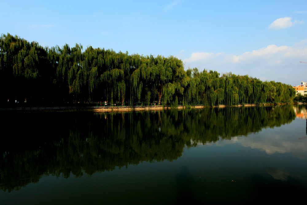 金水湖公園