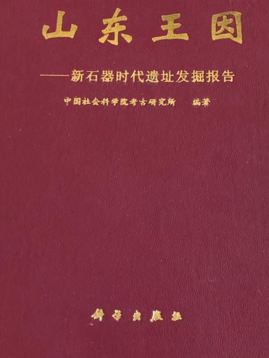 山東王因新石器時代遺址發掘報告