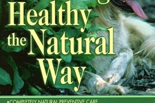 Keep Your Dog Healthy the Natural Way