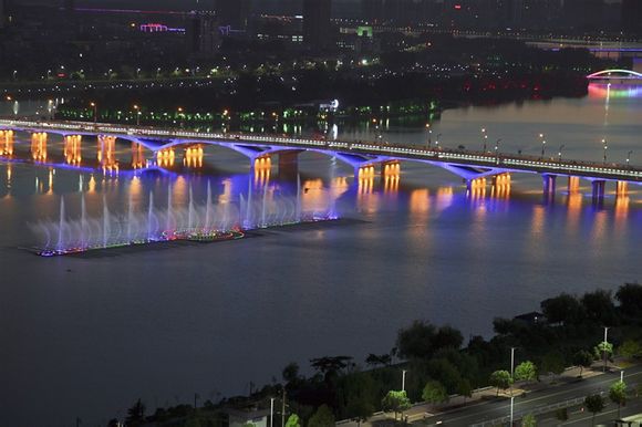 南陽仲景大橋夜景