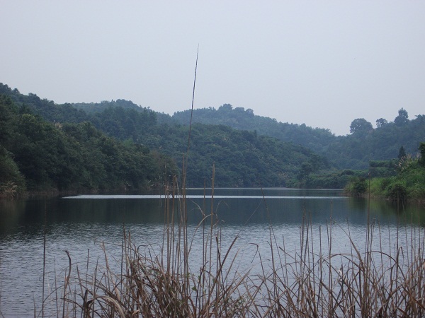 斗山橋水庫