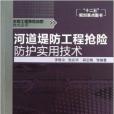 河道堤防工程搶險防護實用技術