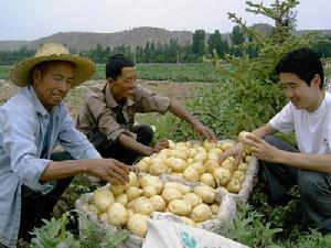 鄭母鎮(圖1)