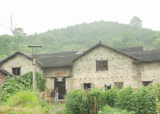 石虎村(雲南峨山縣甸中鎮下轄村)