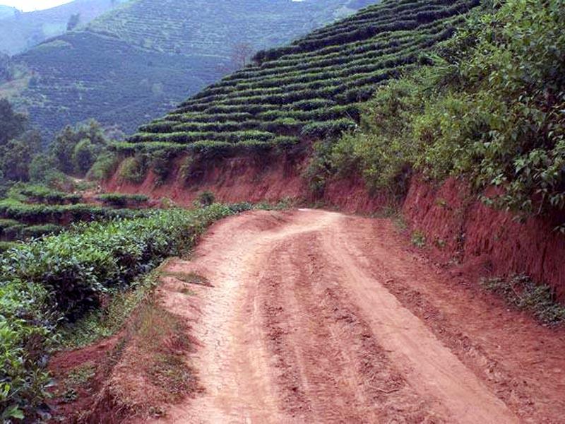 進村道路