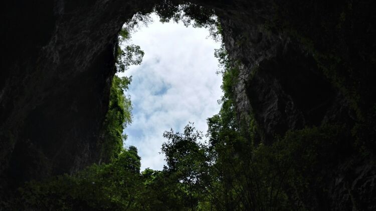 杪欏洞景觀