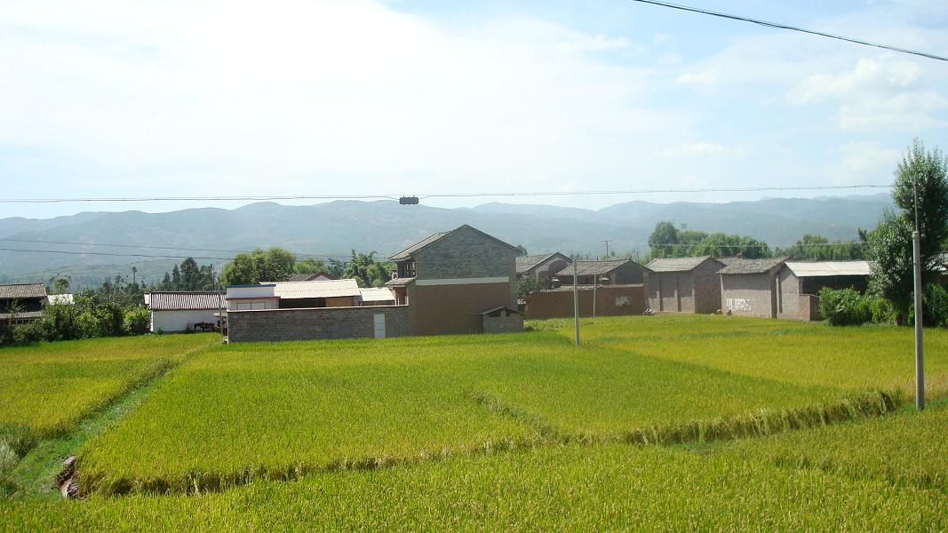 禾穀村(雲南省巍山縣永建鎮禾穀村)