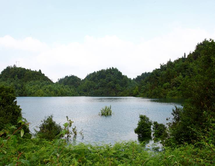 貴州納雍大坪箐國家濕地公園