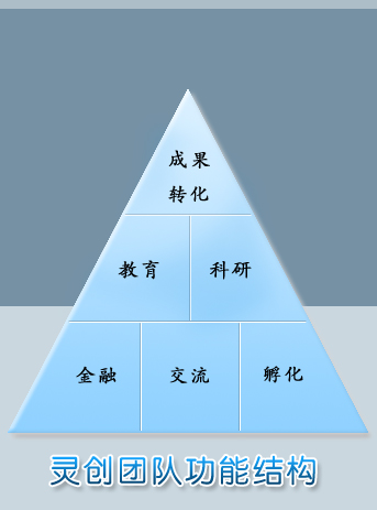 靈創團隊功能結構