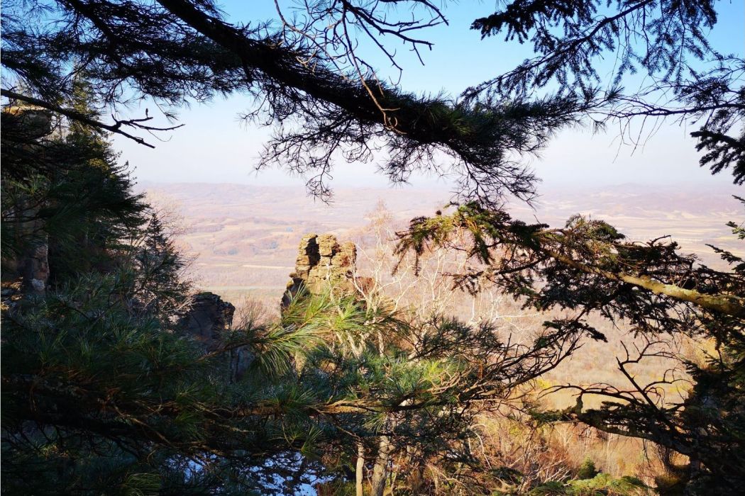 蕎麥楞子山