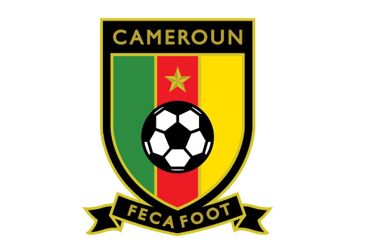喀麥隆國家男子足球隊