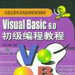 Visual Basic6.0初級編程教程