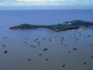 鮁魚圈仙人島