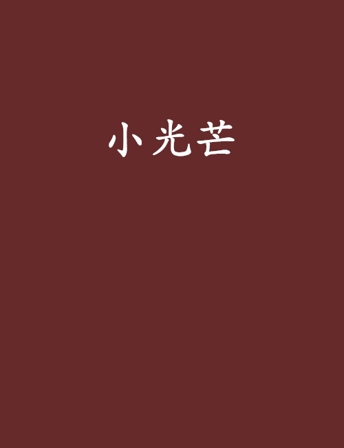 小光芒(言情小說)