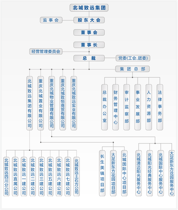 北城致遠集團組織機構圖