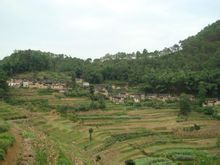 黑樹林村(雲南省紅河縣三村鄉三村村委會黑樹林村)