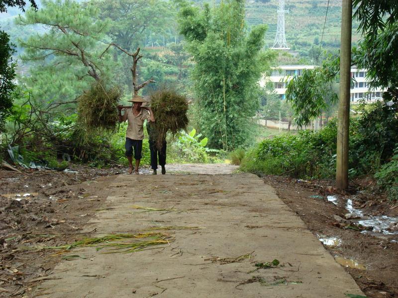 進村道路