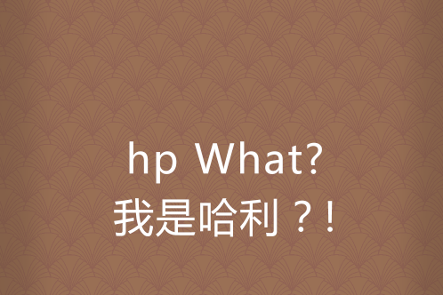 hp What?我是哈利？!