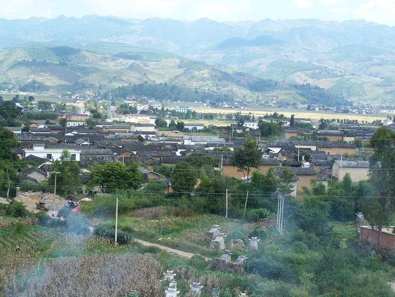 仁和村(雲南玉溪新平縣漠沙鎮下轄村)