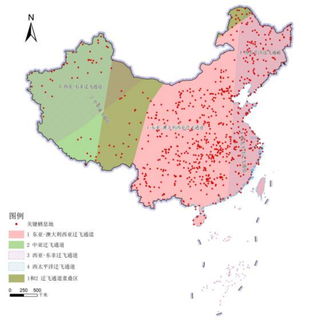 候鳥遷飛通道保護修復中國行動計畫（2024—2030年）