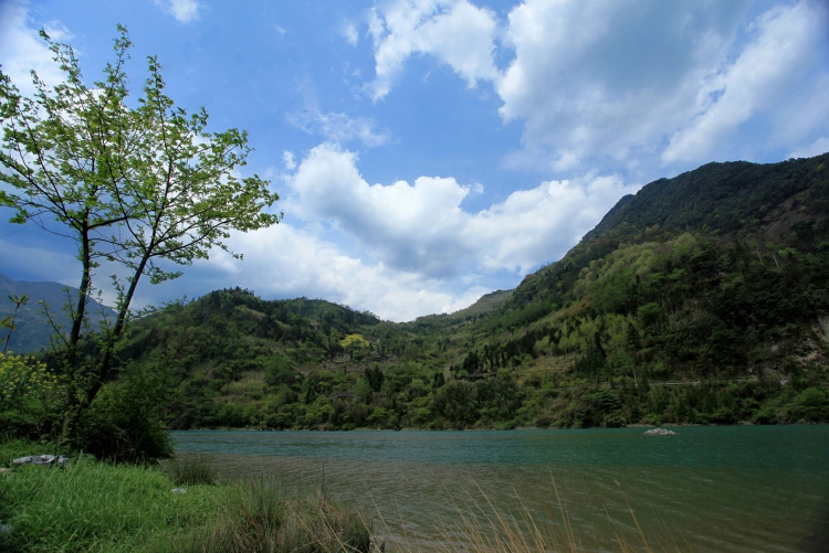 大川鎮(湖北十堰市茅箭區大川鎮)